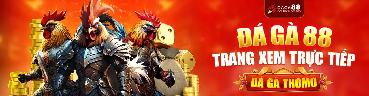 Sân vận động với ánh đèn rực rỡ và logo hero123